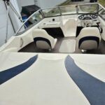 Stingray 195 RX 2013