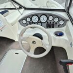 Stingray 195 RX 2013