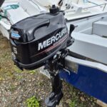 Mercury 5 MH 4T 2015