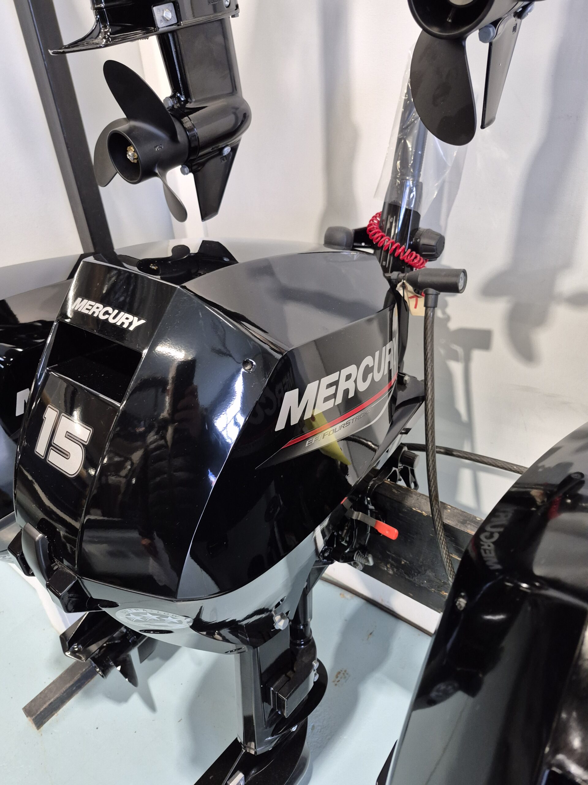 Mercury 15 MLH 2024