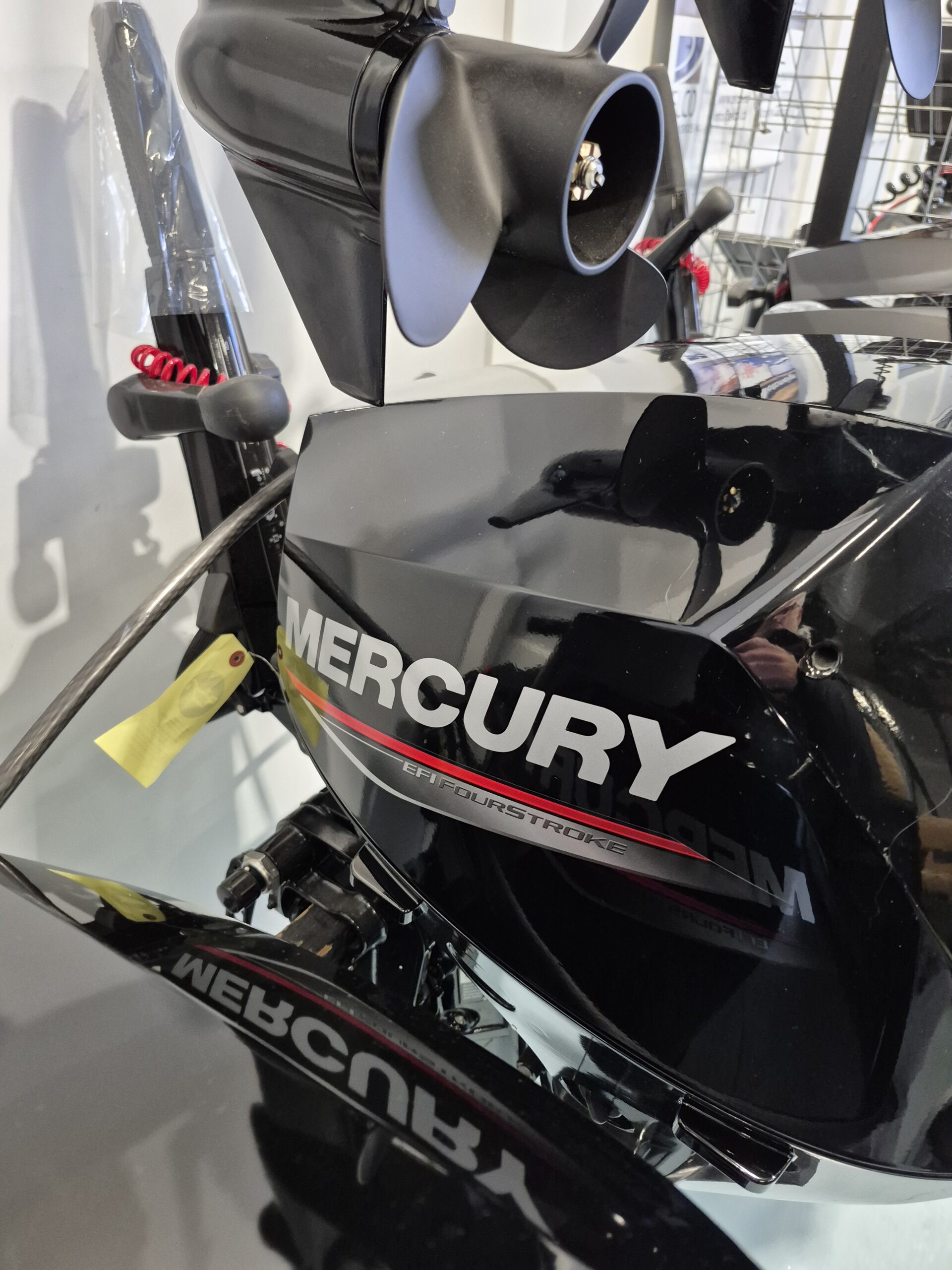 Mercury 15 MLH 2024